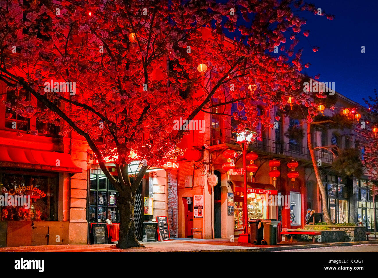 Chinatown, Victoria, Britisch-Kolumbien, Kanada Stockfoto