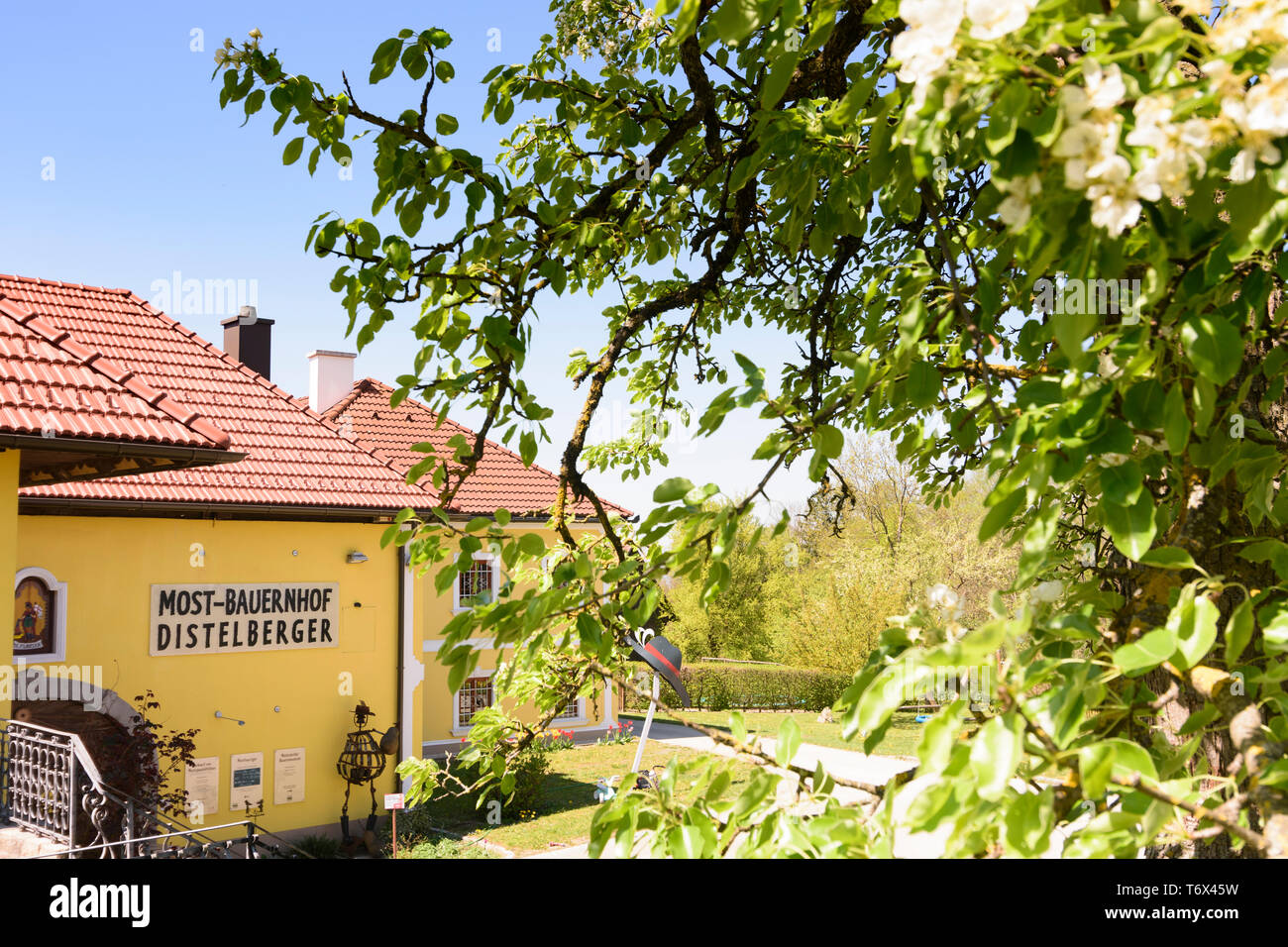 Amstetten: Bauernhof Distelberger Mostviertler Bauernmuseum Genussbauernhof, Museum, im Weiler Gigerreith in Mostviertel, Niederösterreich, Niederösterreich, Stockfoto