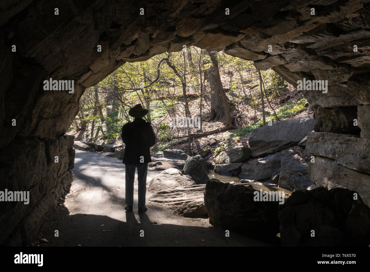 Die North Woods sind in der nordwestlichen Ecke des Central Park, NYC, USA Stockfoto