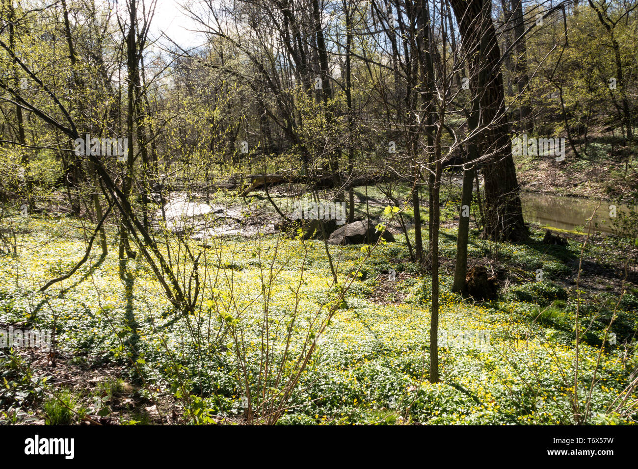 Die North Woods sind in der nordwestlichen Ecke des Central Park, NYC, USA Stockfoto