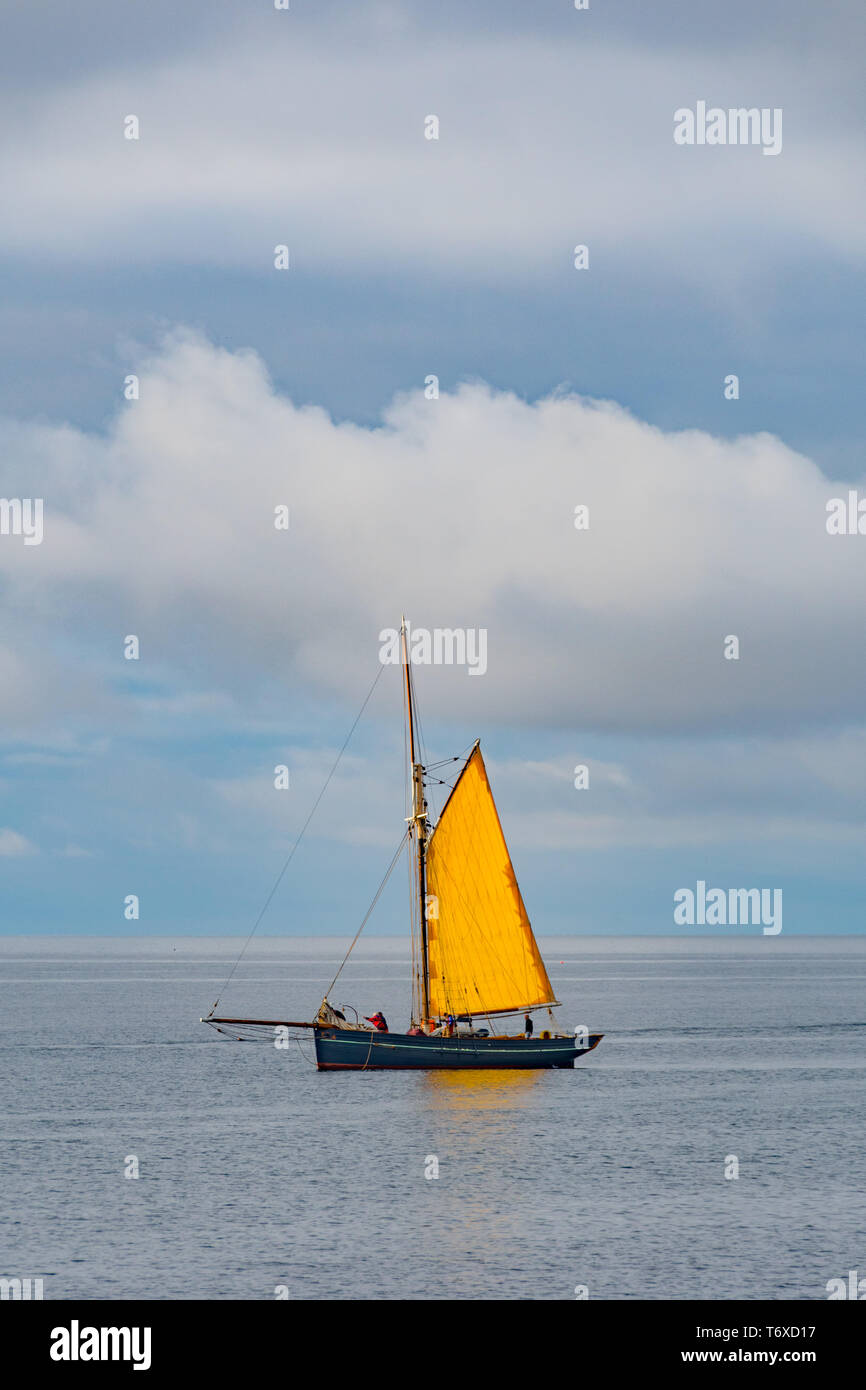 Fowey, Cornwall, UK. 3. Mai 2019. UK Wetter. Es war ein Cooler Start in den Tag, aber die Sonne bald heraus kam und brachte einen warmen Glanz auf das Segel auf diese traditionelle Boot das Wiegen war Anker vor der Küste bei mousehole am frühen Morgen. Kredit Simon Maycock/Alamy Leben Nachrichten. Stockfoto