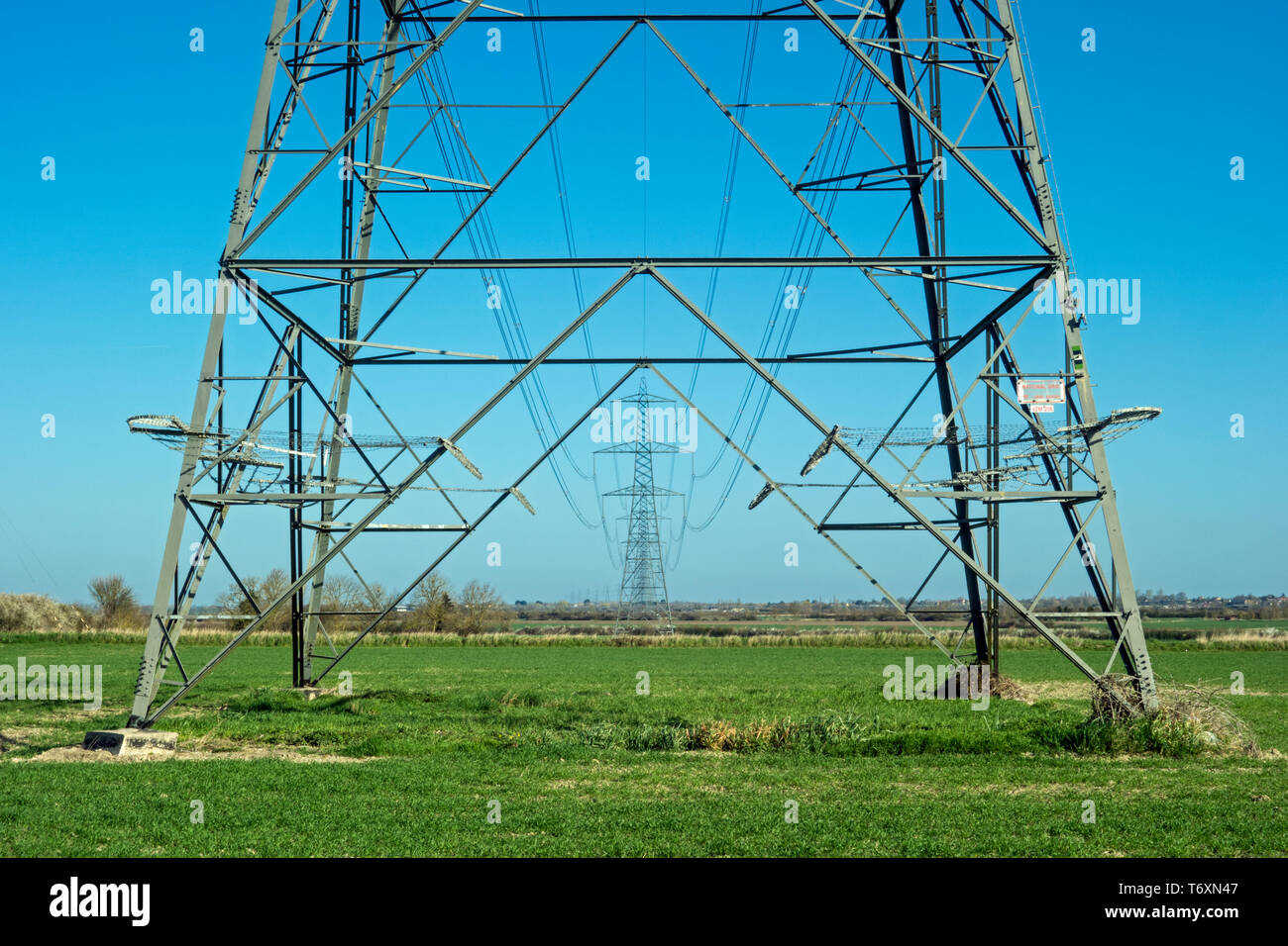 Linie der Strommasten mit blauem Himmel, Cambridgeshire, England, Großbritannien Stockfoto