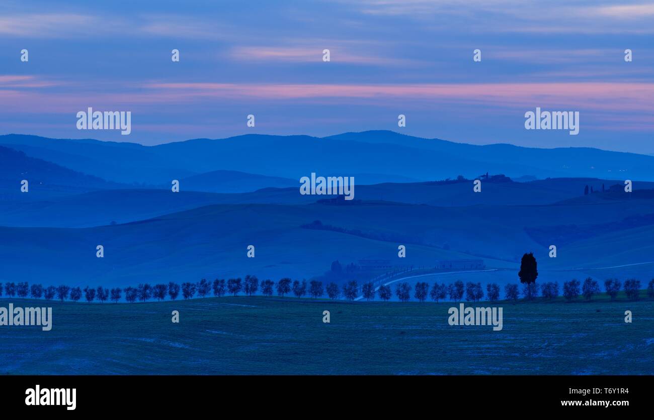 Typische toskanische Landschaft in der Dämmerung, hügelige Landschaft mit Bäumen gesäumten Allee, in der Nähe von San Quirico d'Orcia, Val d'Orcia, Toskana, Italien Stockfoto