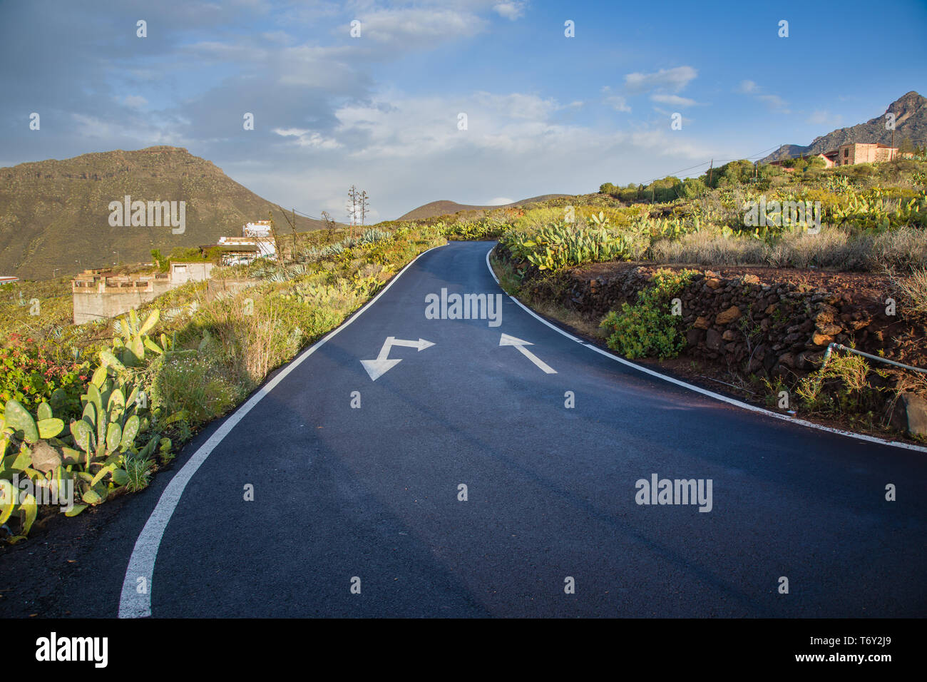 Camino Las Hoyas Straße zum Teide Nationalpark. Teneriffa, Kanarische Inseln, Spanien Stockfoto