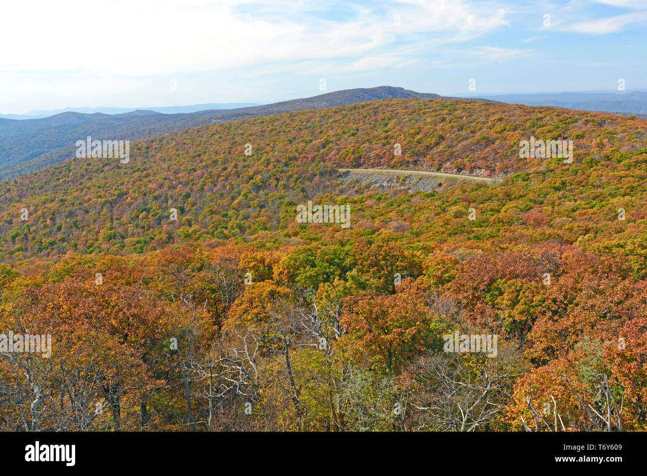Herbstfarben auf dem Skyline Drive, Shenandoah National Park, Virginia Stockfoto