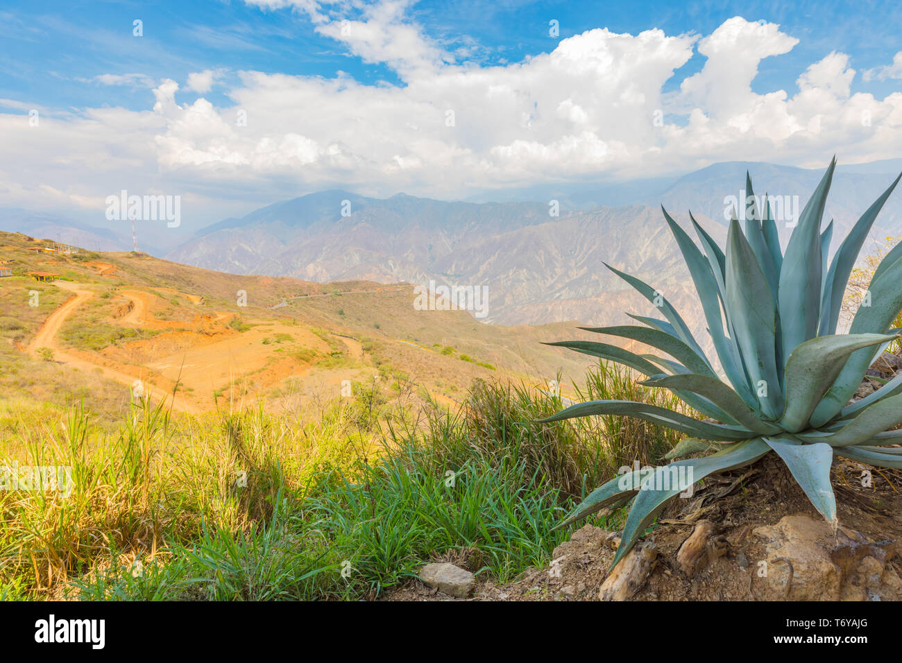 Panoramablick auf die chicamocha Kolumbien Canyon Stockfoto