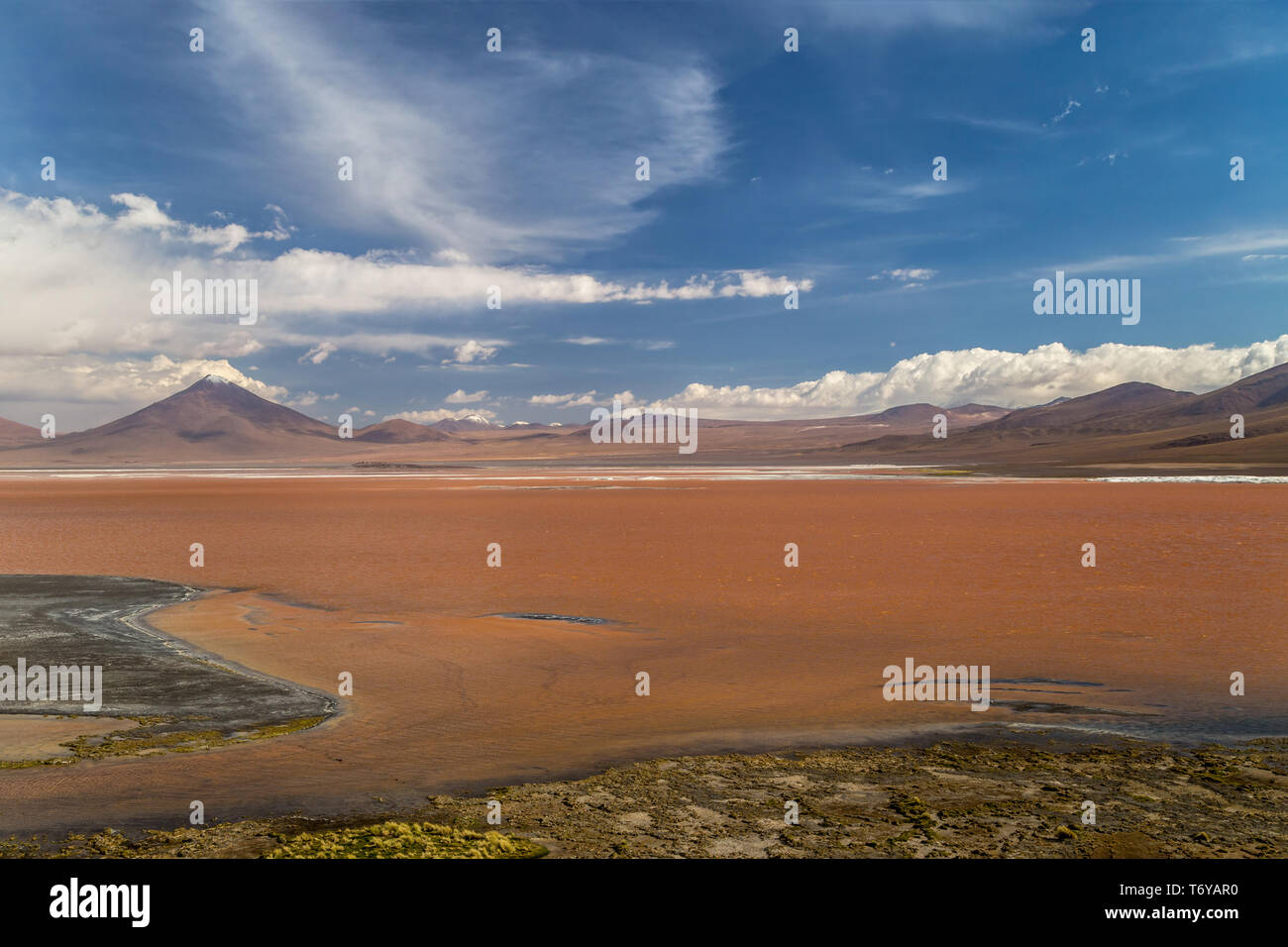Blick auf eine Lagune mit roten Wasser im bolivianischen Altiplano. Stockfoto