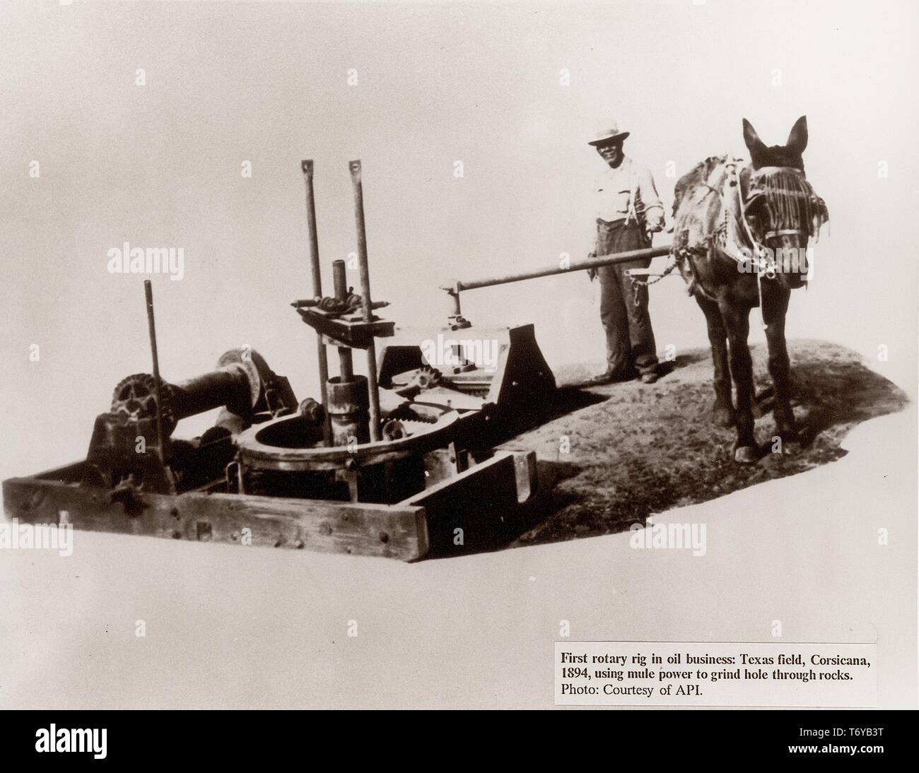 Die ersten Rotary Bohrinsel, mit einem Mann, der im Hintergrund halten Sie die Zügel der ein Maultier vorgespannt, die verwendet wird, um das Rigg, Corsicana, Texas, 1894. Bild mit freundlicher Genehmigung vom American Petroleum Institute/US Department of Energy. () Stockfoto