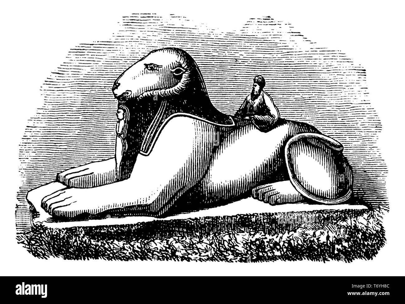 Ram Sphinx, 1892 Stockfoto