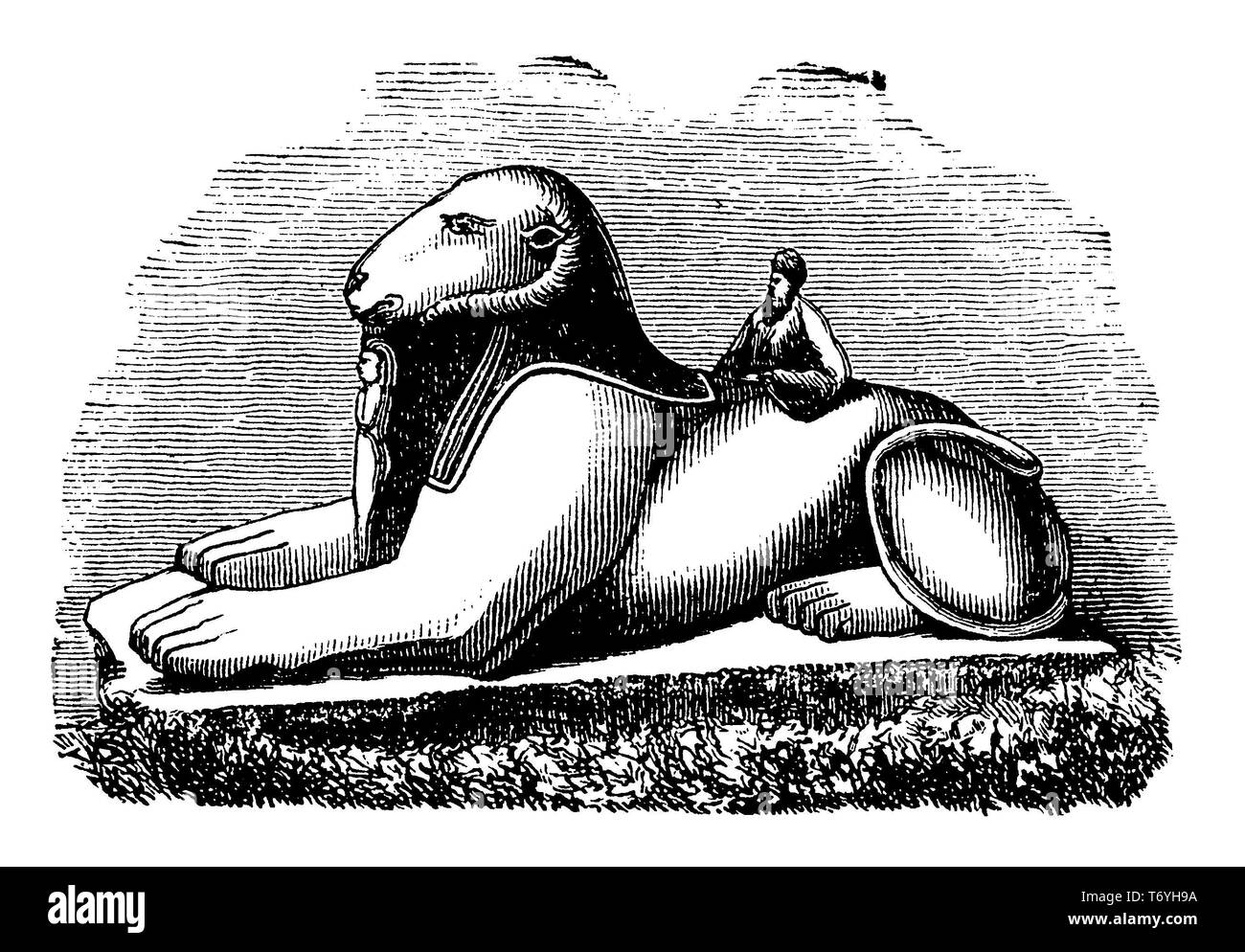 Widder Sphinx, 1892 Stockfoto