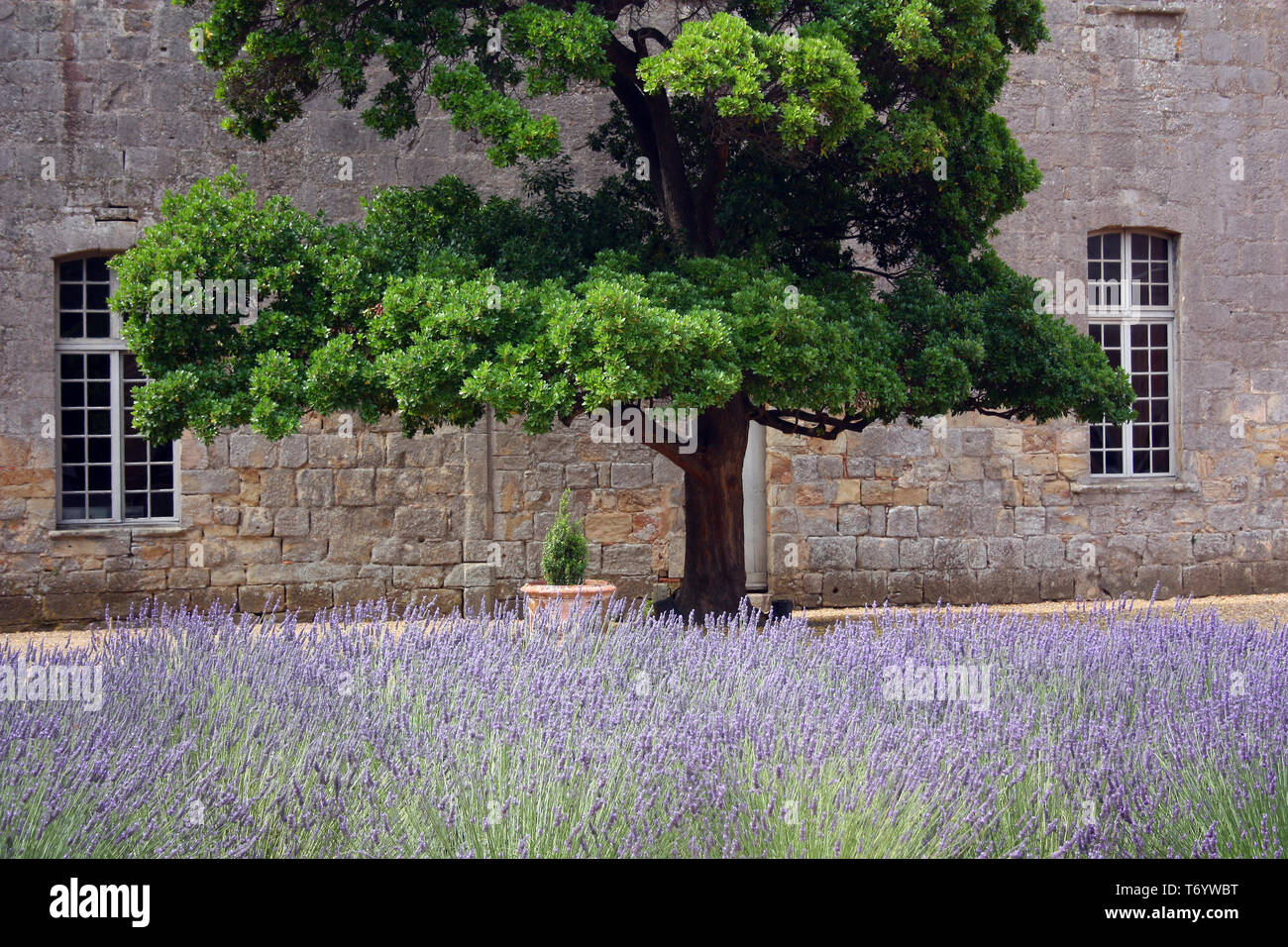 Abtei Fontfroide, Narbonne, Frankreich Stockfoto