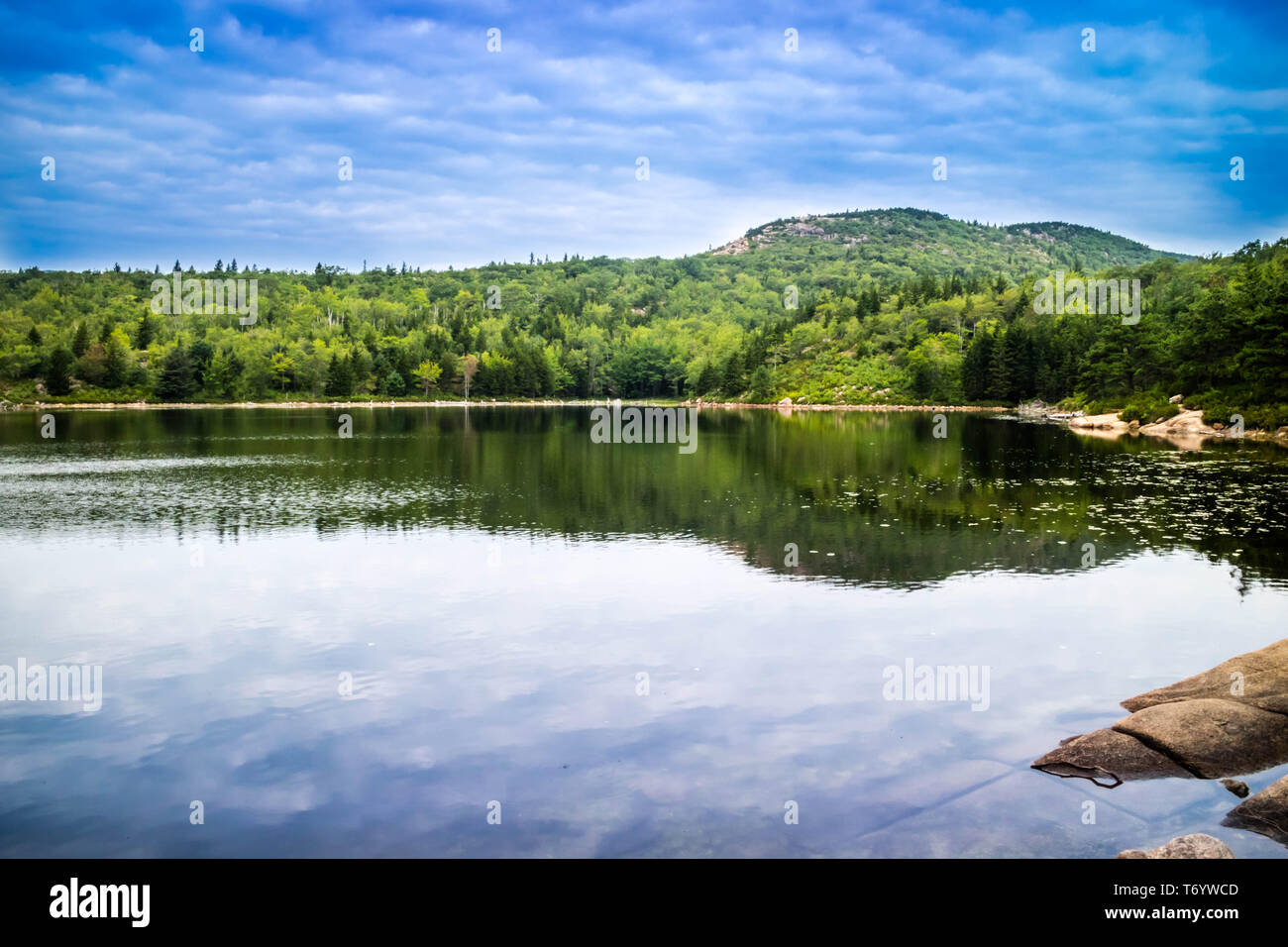 Die Schüssel See in Acadia National Park, Maine Stockfoto