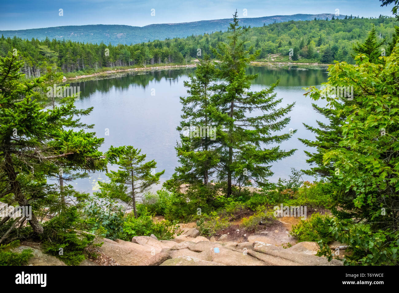 Die Schüssel See in Acadia National Park, Maine Stockfoto