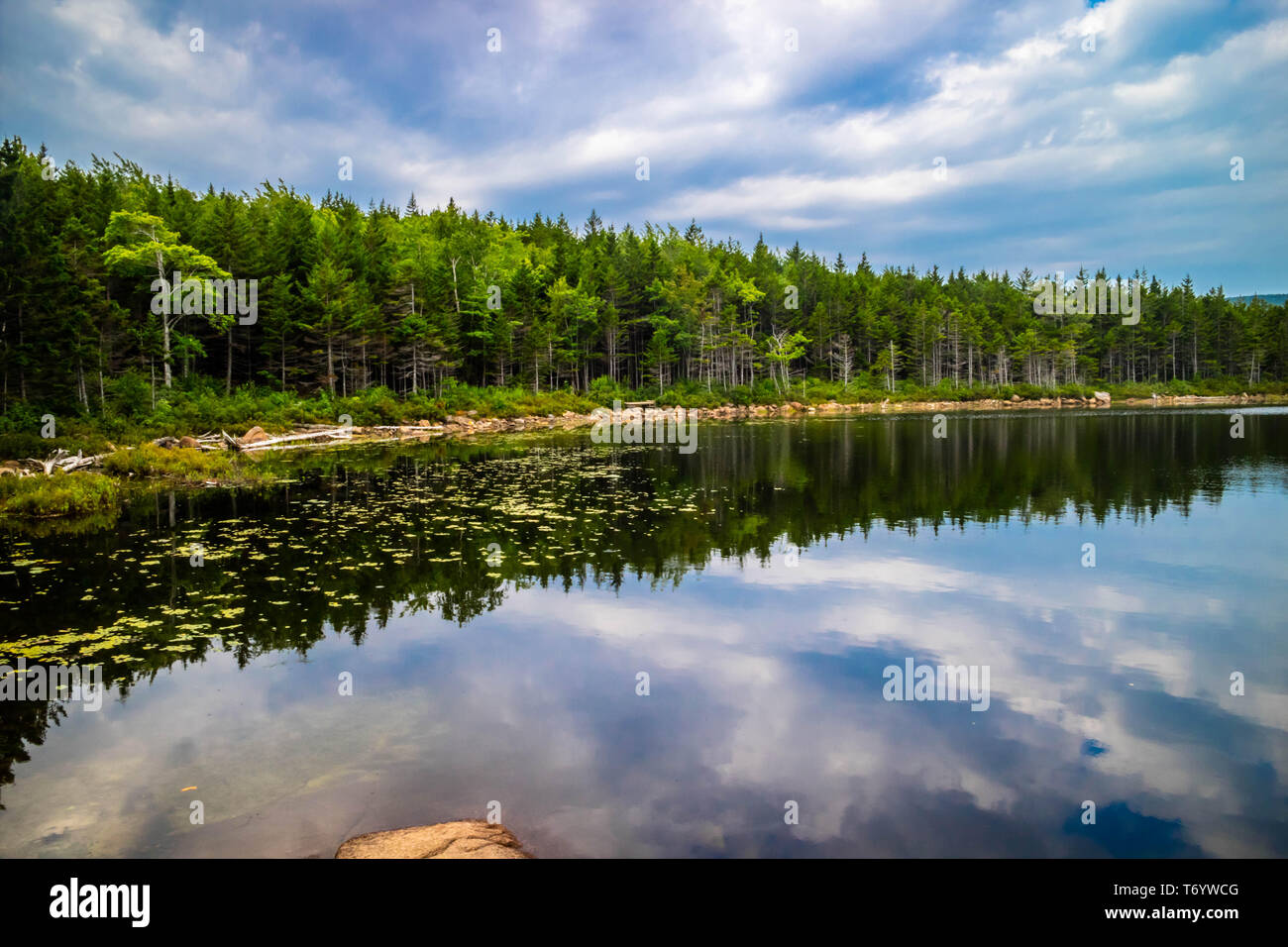 Die Schüssel See in Acadia National Park, Maine Stockfoto