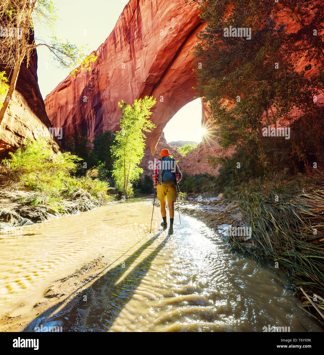 Coyote Buttes Stockfoto