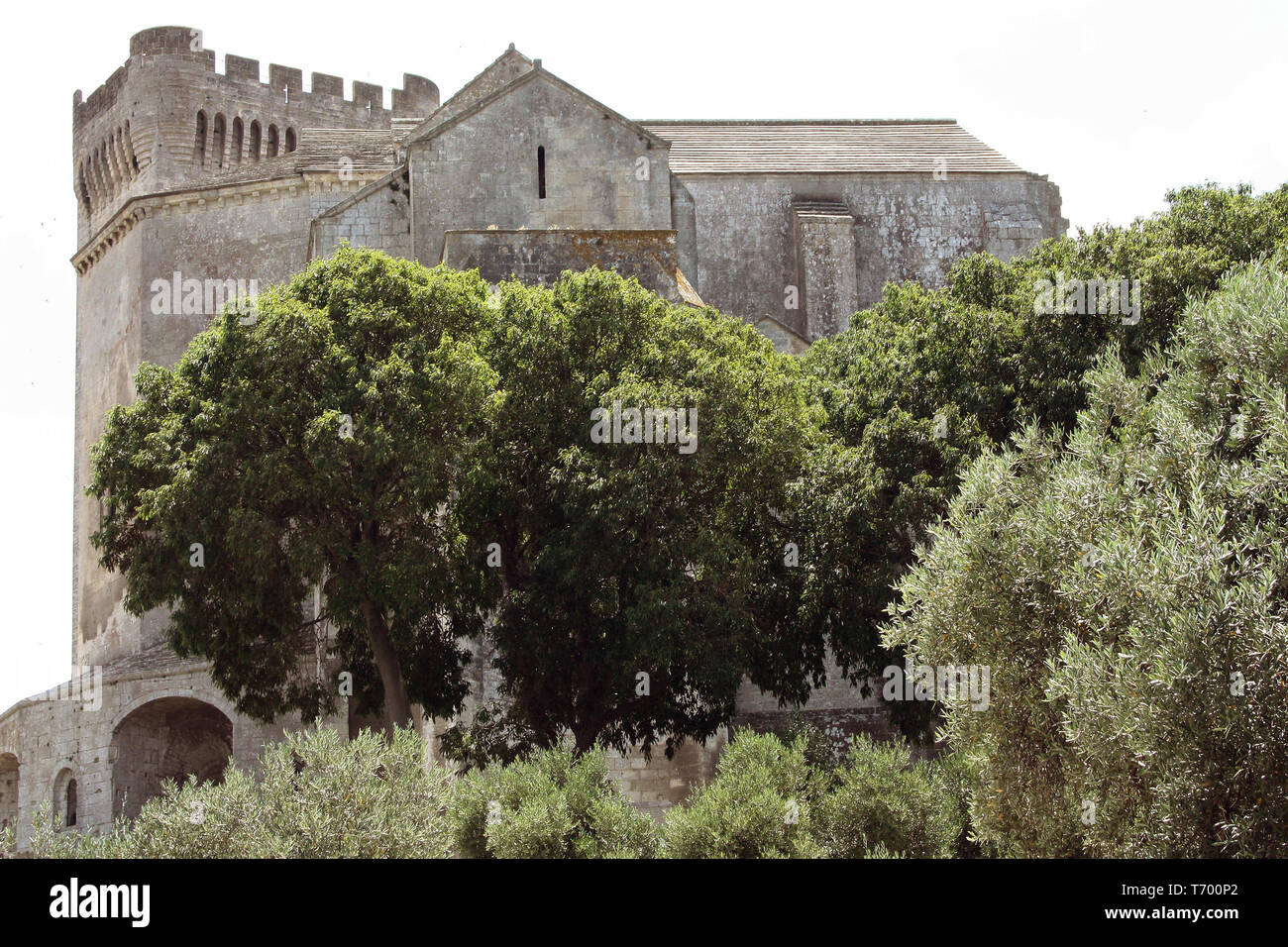 Abtei Montmajour, Arles, Frankreich Stockfoto