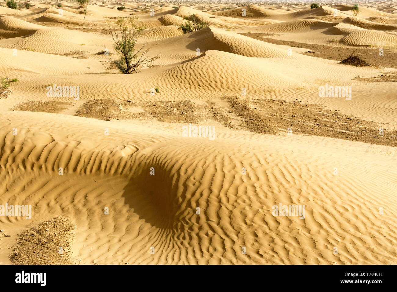 Landschaft mit Dünen in der Wüste Sahara, Tunesien. Stockfoto