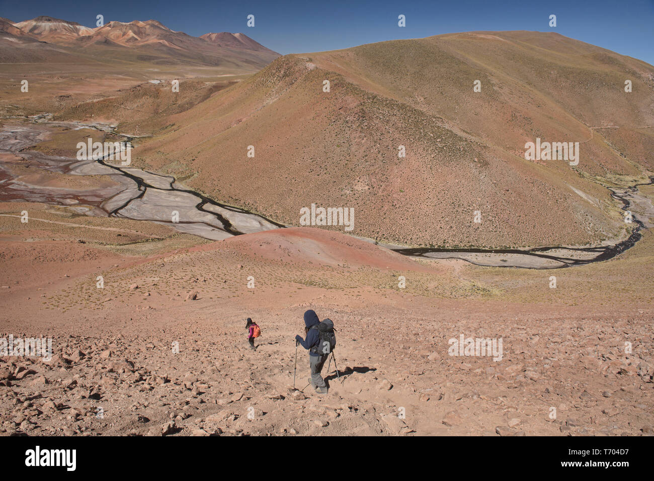 Trekking zum Rio Blanco in der Nähe von El Tatio Geysir, San Pedro de Atacama, Chile Stockfoto