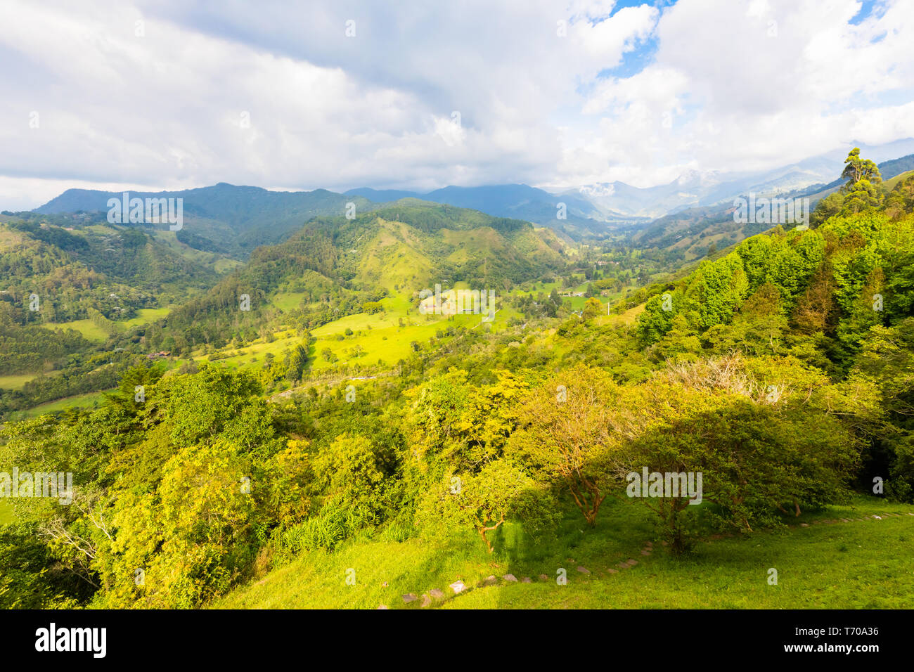 Cocora Vallely Luftaufnahme Salento Stockfoto