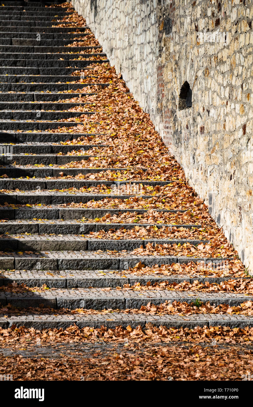 Treppe mit bunten Laub abgedeckt Stockfoto