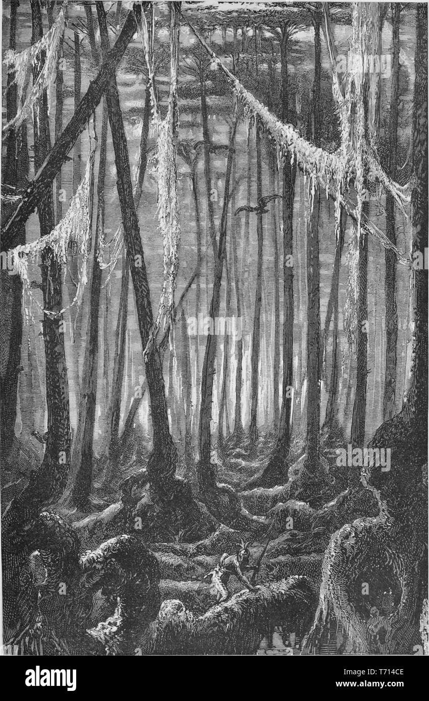 Gravur eines indischen Jäger in einem Cypress Swamp in der Nähe des Mississippi, aus dem Buch "Die südlichen Staaten von Nordamerika" von Edward König, 1875. Mit freundlicher Genehmigung Internet Archive. () Stockfoto