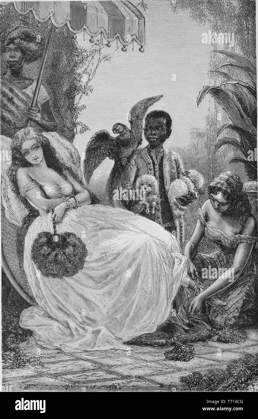 Gravur einer Low-Country Girl genießen Zuneigung von afroamerikanischen Sklaven, aus dem Buch "Die südlichen Staaten von Nordamerika" von Edward König, 1875. Mit freundlicher Genehmigung Internet Archive. () Stockfoto