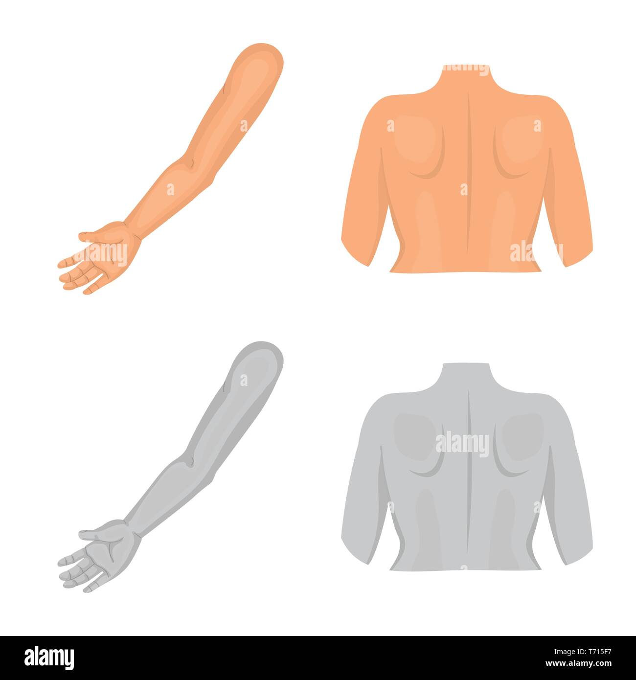 Vector Illustration von Körper und Teil anmelden. Sammlung von Körper ...