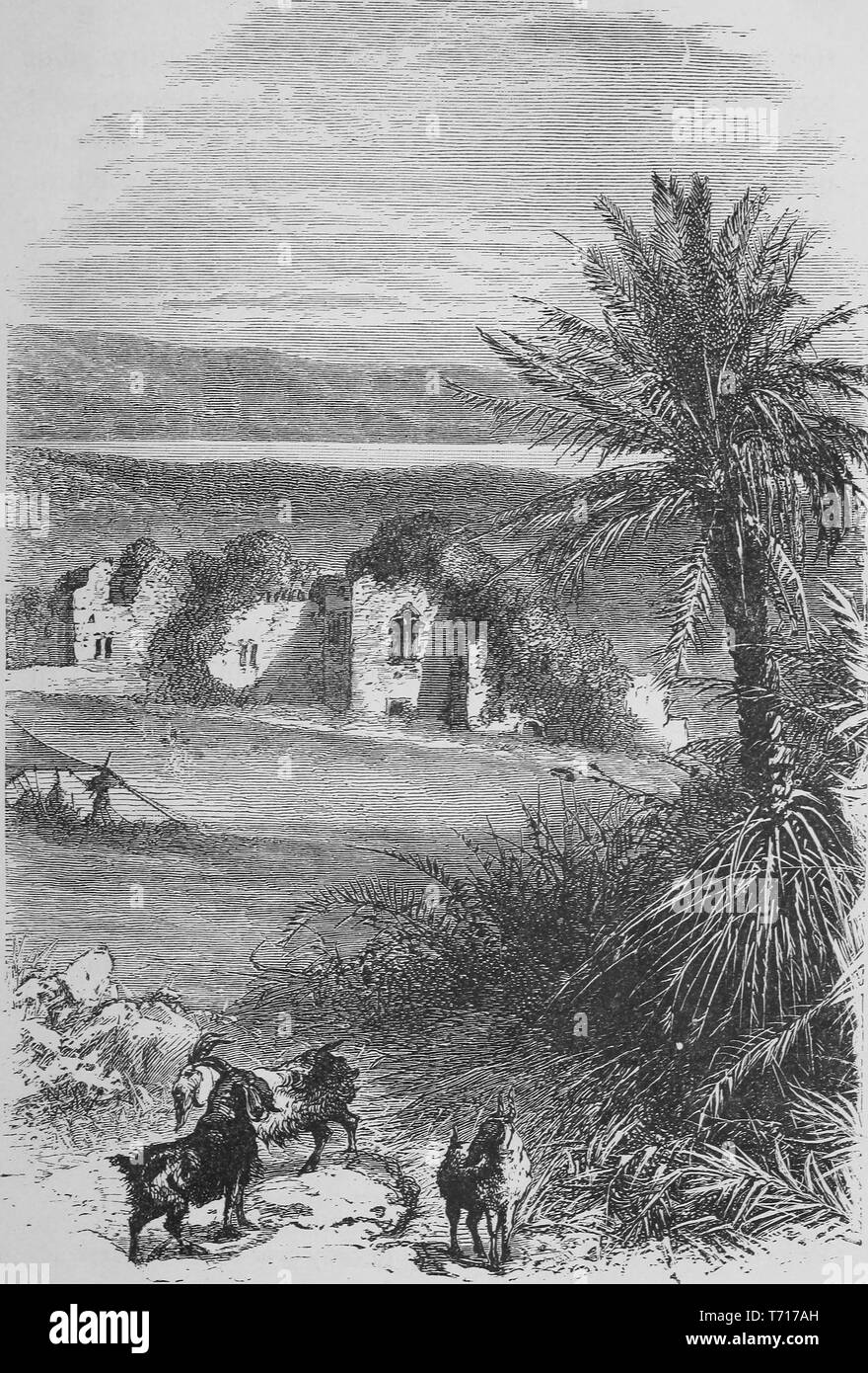 Gravur Der Stadt Jericho Und Dem Toten Meer Aus Dem Buch Bibel Landet Noten Von Reisen In Agypten Der Wuste Und Palastina Von Philip Schaff 1878 Mit Freundlicher Genehmigung Internet Archive Stockfotografie