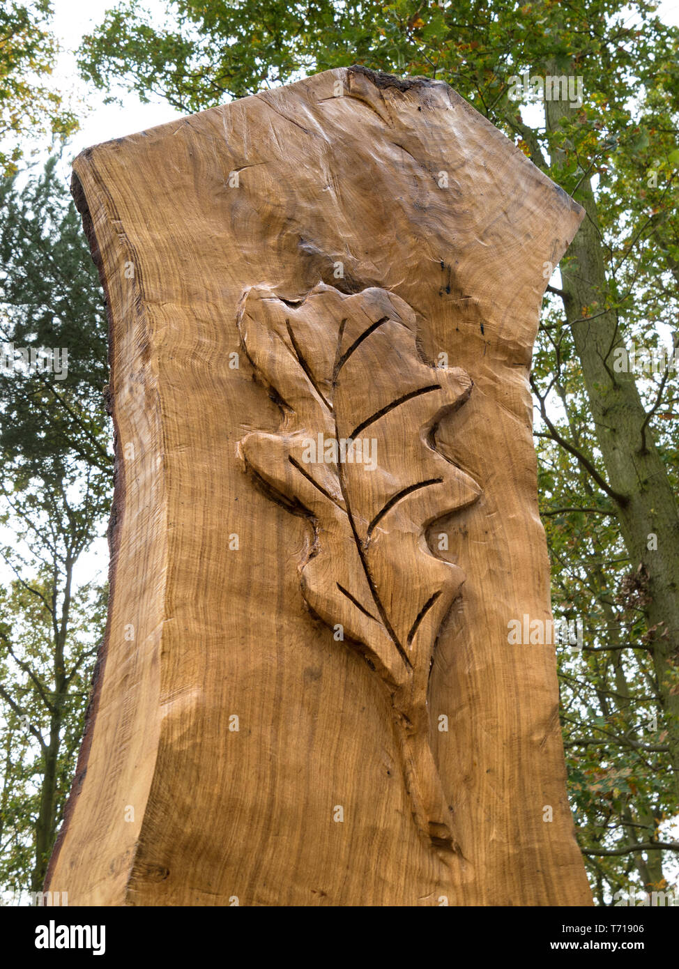 Eichenholz geschnitzte Blatt auf Eichenholz Säule in der Gedenkstätte Holz, Bradgate Park, Leicestershire, England, UK. Stockfoto