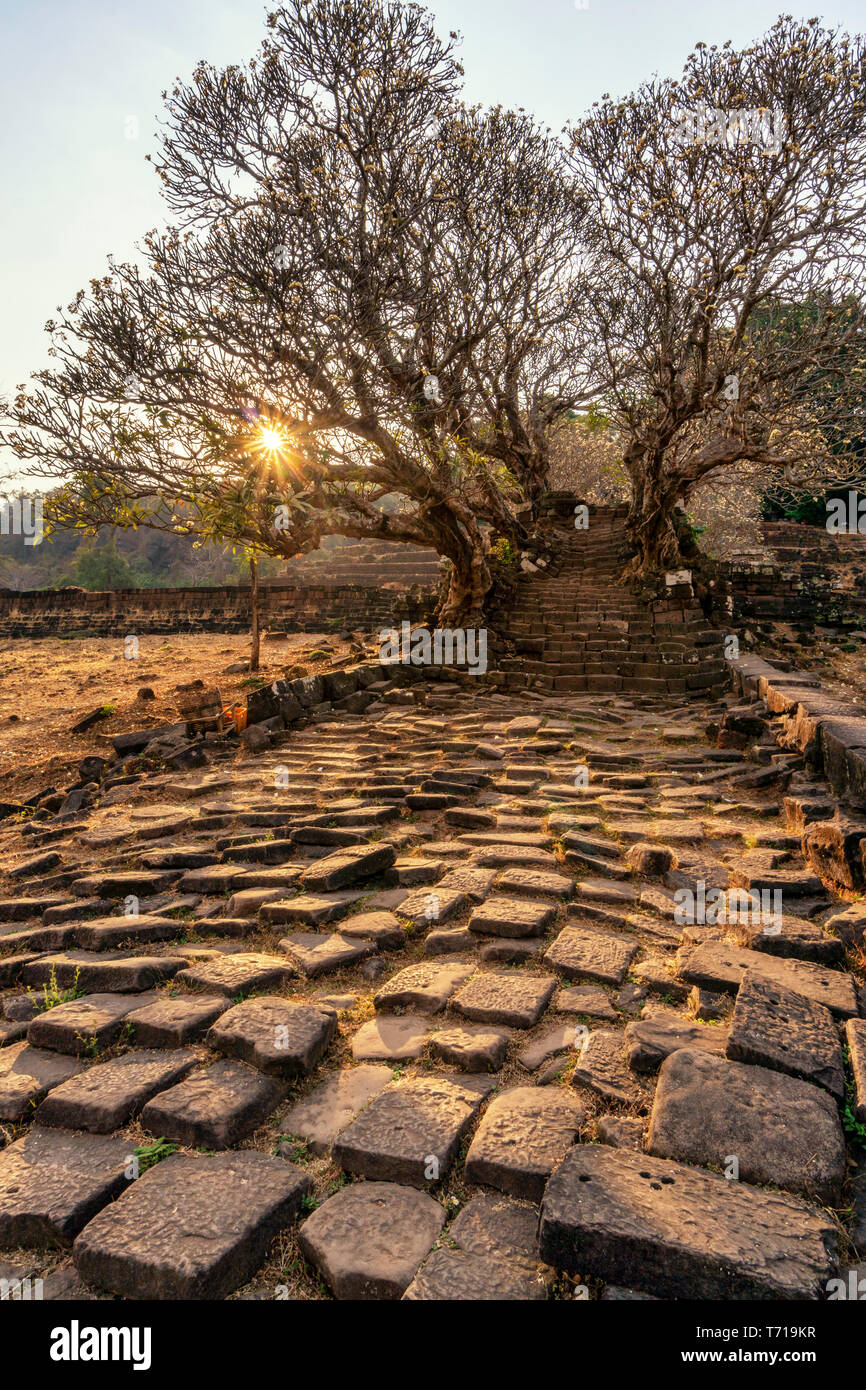 Treppen zu Mehrwertsteuer Phou Tempel, UNSECO, Welterbe, Provinz Champassak, Südasien Essen, Laos Stockfoto