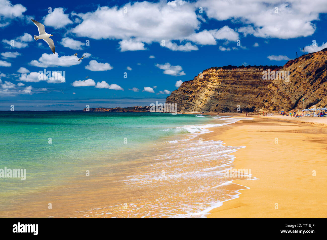 Praia de Porto de Mos mit Möwen über den Strand, Lagos, Portugal fliegen. Praia do Porto de Mos, Long Beach in Lagos, Algarve, Portugal. Stockfoto