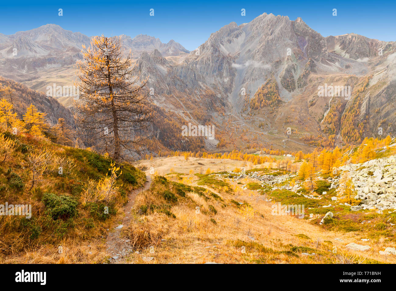 Alpenpanorama der Region Piemont Stockfoto