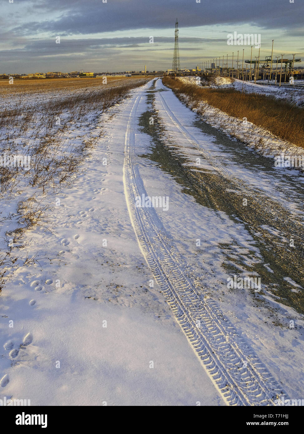 Reifenspur auf verschneiter Straße Stockfoto