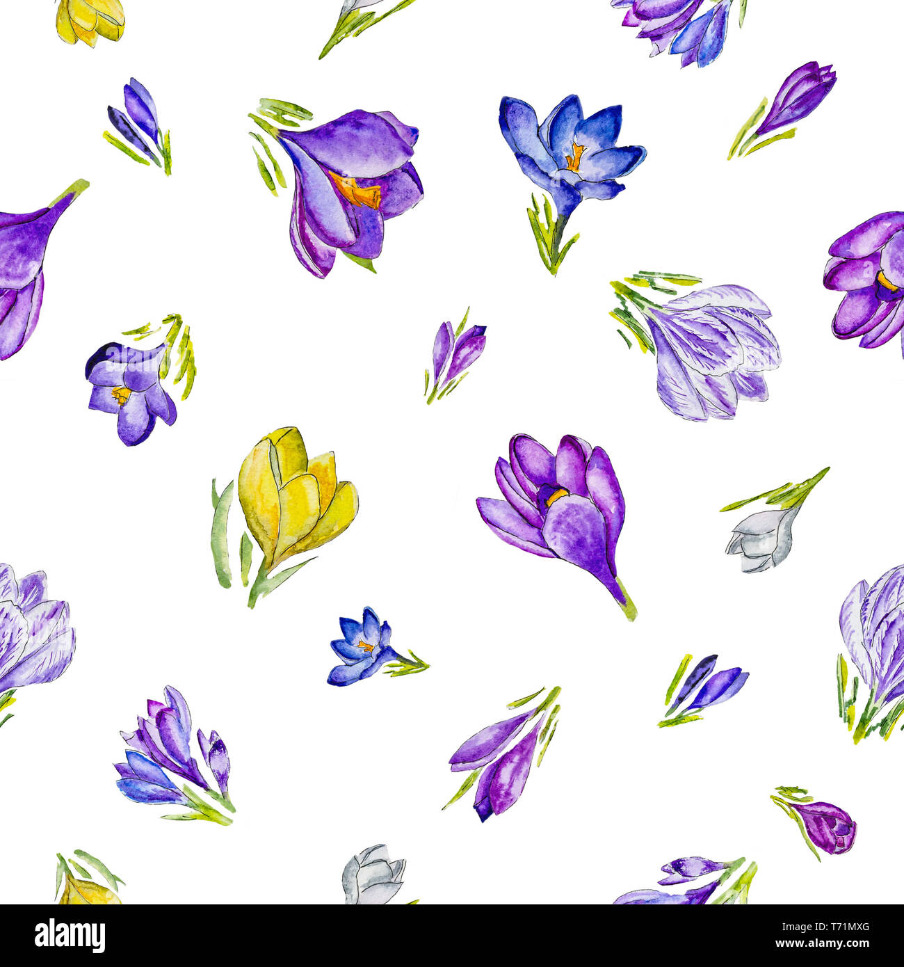 Aquarell blumen muster mit bunten Krokusse. Stockfoto