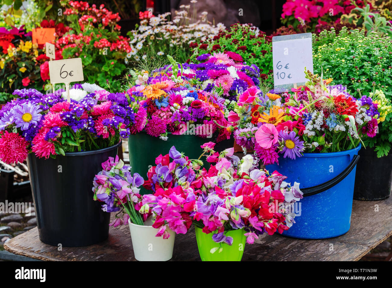 Bunte Vielfalt von Blumen im Markt verkauft. Stockfoto