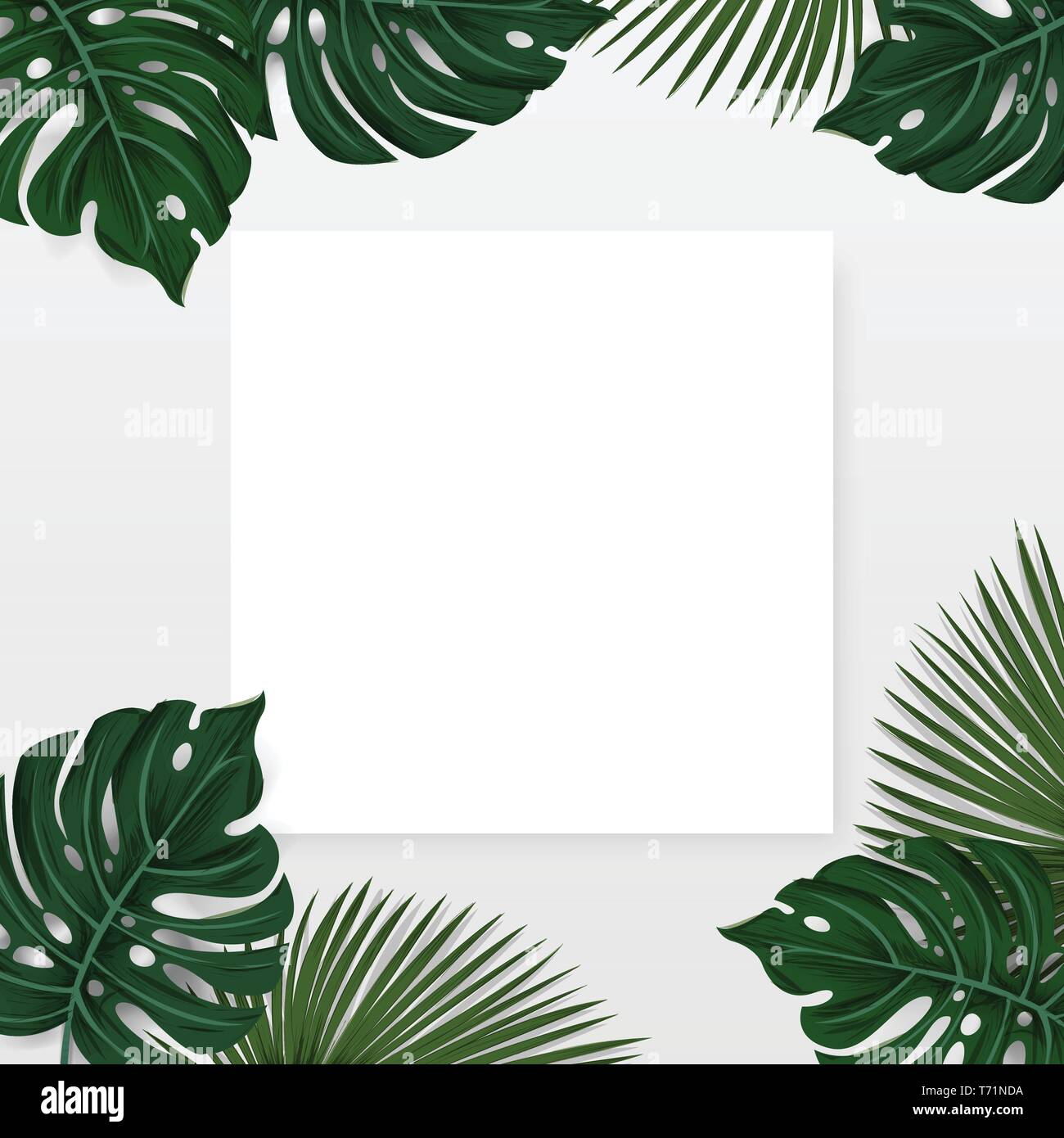 Kreative Gestaltung, tropischen Hintergrund mit exotischen Palmen und Pflanzen mit weißen Papier Karte Hinweis auf weißem Hintergrund, flach legen. Natur Stock Vektor