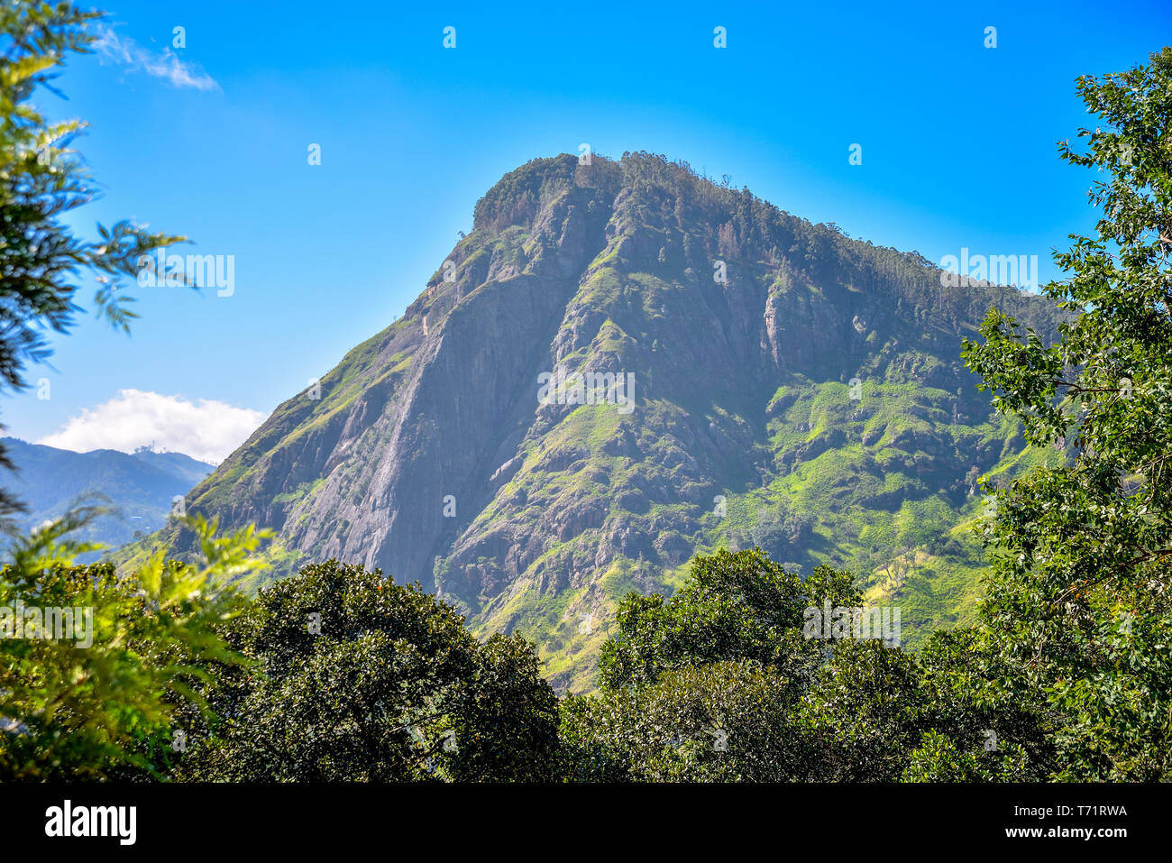 Schöne Landschaft mit Ella Rock Stockfoto