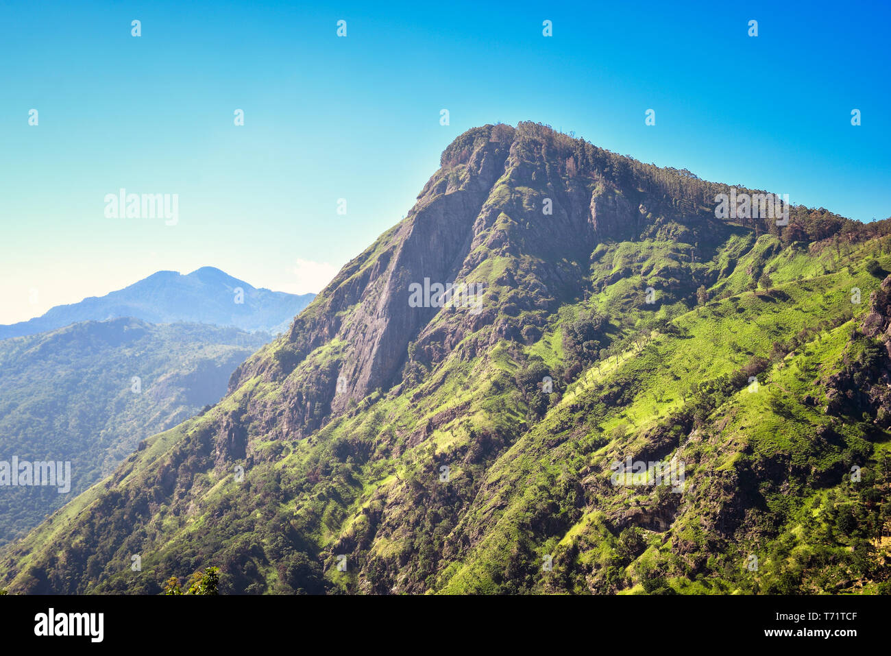 Schöne Landschaft mit Ella Rock Stockfoto