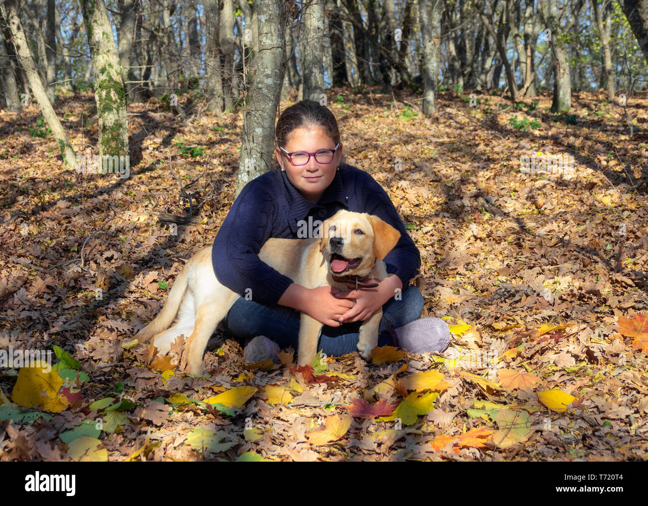 Portrait von Mädchen mit Hund im Herbst Wald Stockfoto
