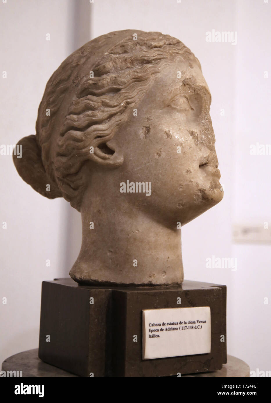 Kopf der Göttin Venus. 117-138 AD. Italica, Andalusien, Spanien. Das archäologische Museum von Sevilla. Andalusien. Spanien. Stockfoto