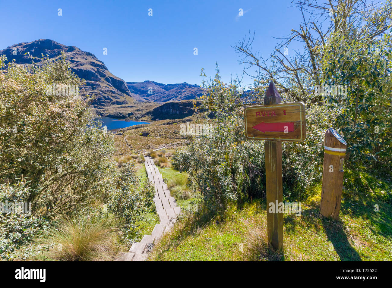 Panoramablick auf den Hauptweg im Cajas Nationalpark Stockfoto