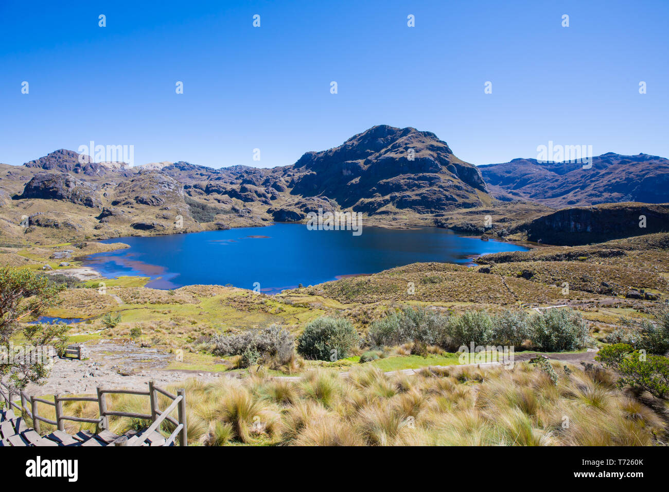 Ansicht von oben in einem See im Cajas Nationalpark Cuenca Stockfoto
