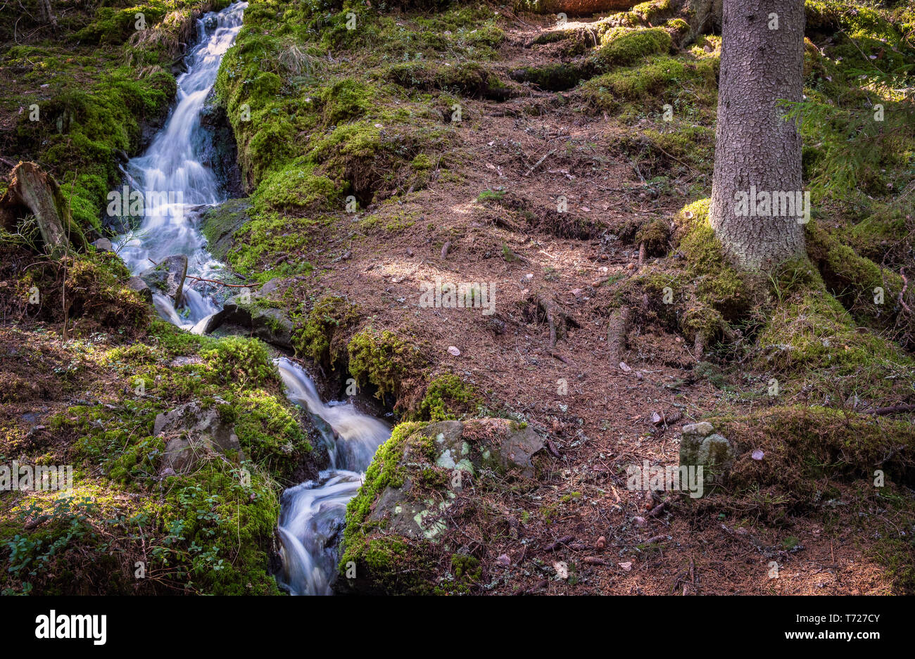 Kleinen idyllischen Wald stream in langen Belichtung geschossen mit grünem Moos an sonniger Frühlingstag in Finnland fließt Stockfoto