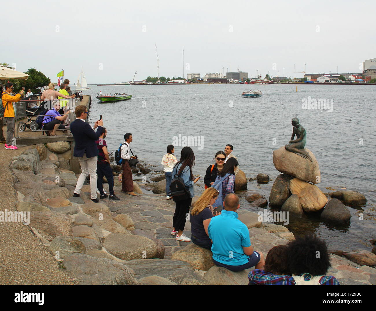 Kopenhagen. Juni -15-2017. Touristen Fotografen die kleine Meerjungfrau im Hafen von Kopenhagen, Dänemark Stockfoto