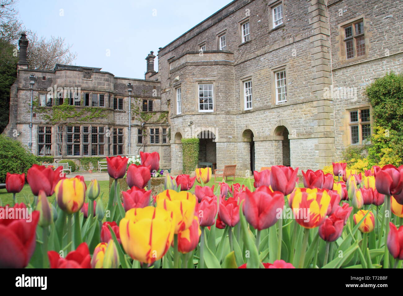 Tissington Halle Gärten im Frühling, in der Nähe von Ashbourne im Peak District National Park, Derbyshire, England, Großbritannien Stockfoto