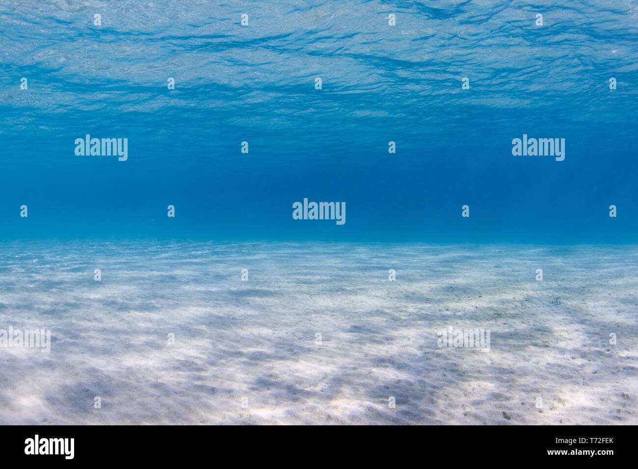 Das klare blaue Wasser und einem sandigen Meeresboden Stockfoto