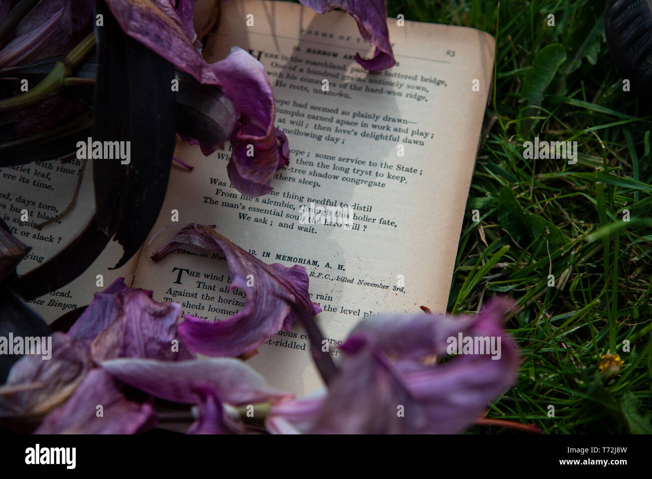 Ein Gedichtband liegt auf Gras mit verblichenen lilly Blütenblätter fallen über ihre Seiten Stockfoto