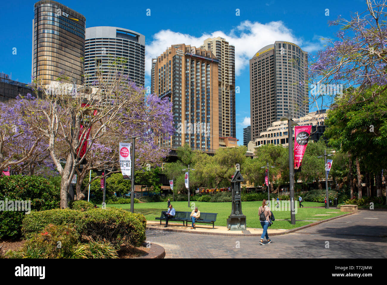Erste Flotte Park im Viertel The Rocks am Circular Quay in Sydney in New South Wales, Australien Stockfoto