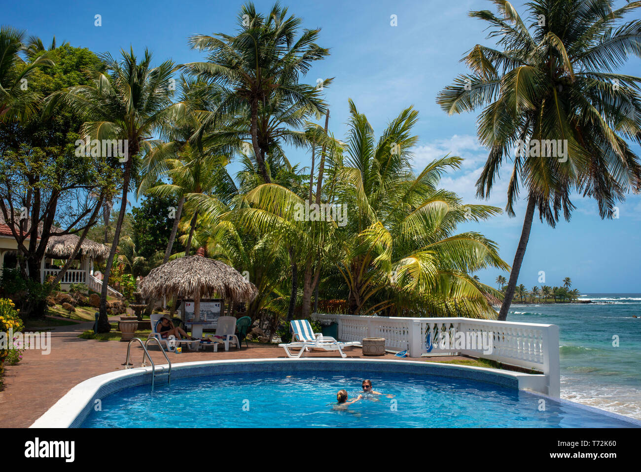 Infinity Pool eine Palme im Casa Canada Hotel auf Big Corn Island, Nicaragua, Mittelamerika Stockfoto
