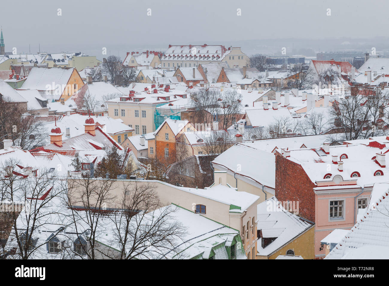 Winter stadtbild der Altstadt von Tallinn, Estland. Rooftop View mit mittelalterlichem Charme Stockfoto